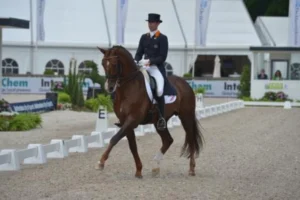 CHIO Rotterdam - Paardensport & hospitality – foto 10