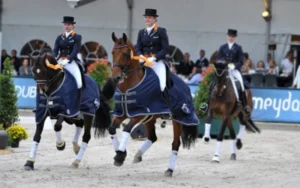 CHIO Rotterdam - Paardensport & hospitality – foto 2
