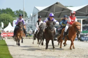 CHIO Rotterdam - Paardensport & hospitality – foto 7