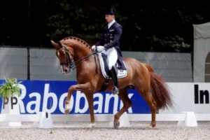 CHIO Rotterdam - Paardensport & hospitality – foto 8