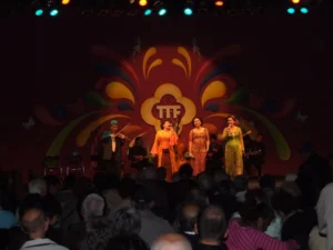 Grootste Indische evenement ter wereld: Tong Tong Fair – foto 14