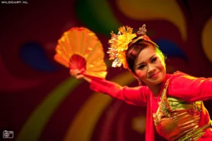 Grootste Indische evenement ter wereld: Tong Tong Fair – foto 17