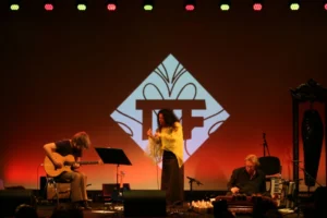 Grootste Indische evenement ter wereld: Tong Tong Fair – foto 2